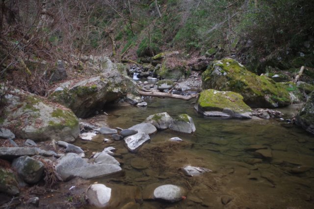 IMGP3291_R