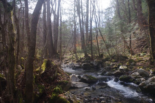 IMGP3359_R