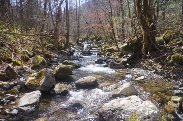 IMGP3372_R