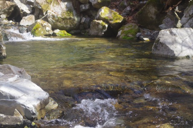 IMGP3412_R