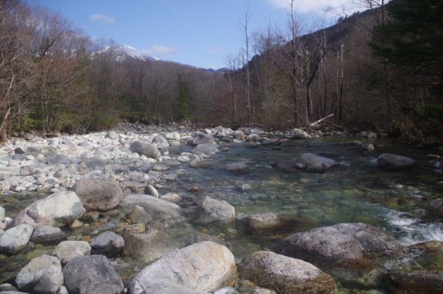 IMGP3545_R