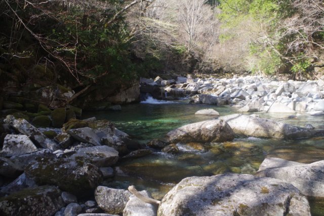 IMGP3688_R