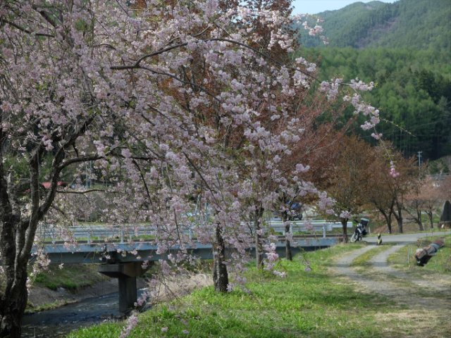 DSCF3539_R