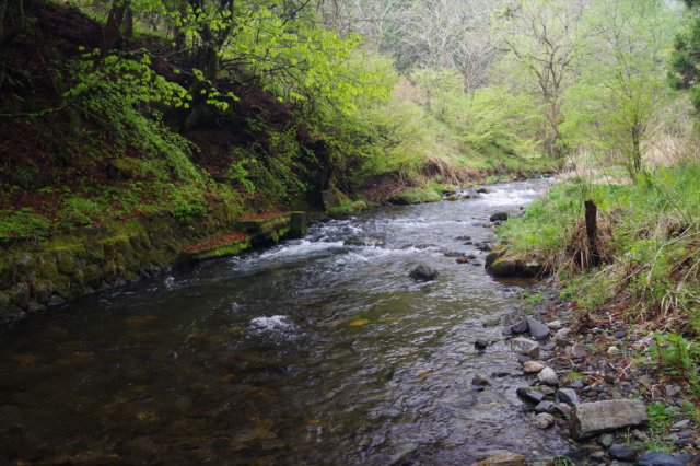 IMGP3952_R