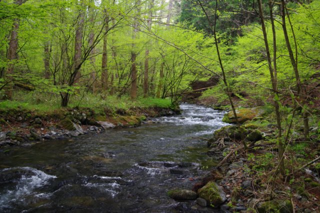 IMGP3962_R