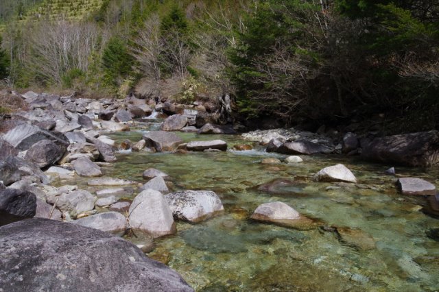 IMGP3999_R