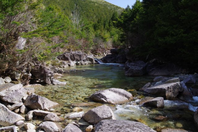 IMGP4092_R