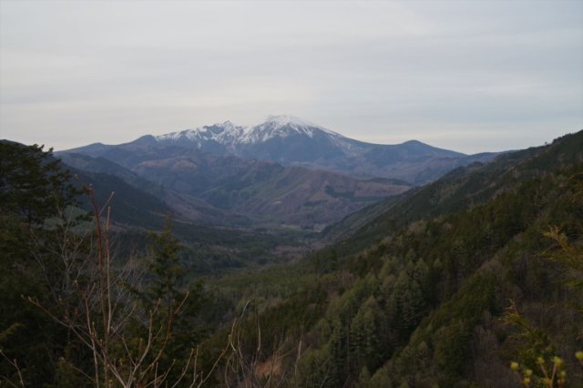 IMGP4241_R