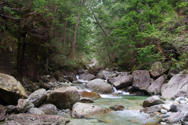 IMGP4335_R