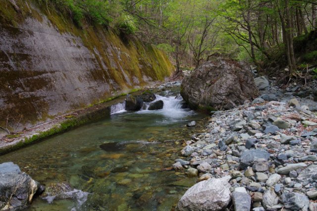 IMGP4526_R