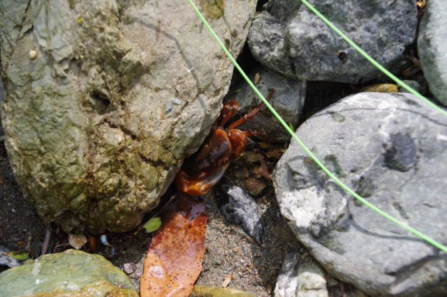 IMGP4577_R