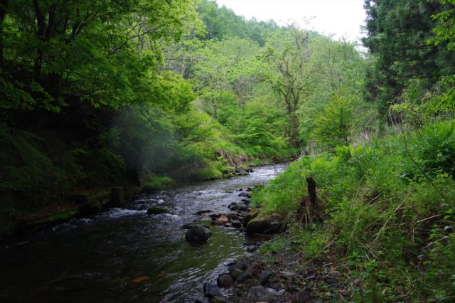 IMGP4629_R