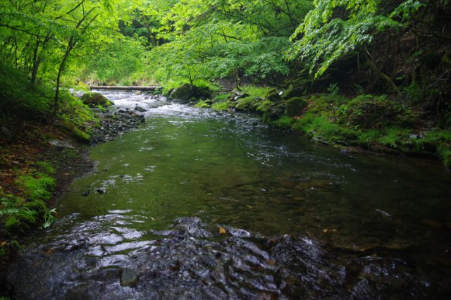 IMGP4655_R