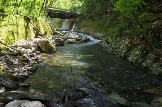 IMGP4743_R