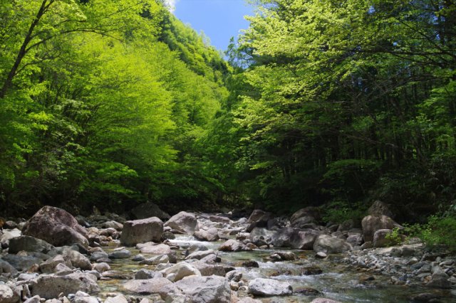 IMGP4956_R