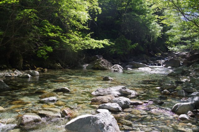 IMGP4994_R