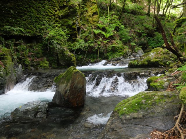 DSCF3852_R
