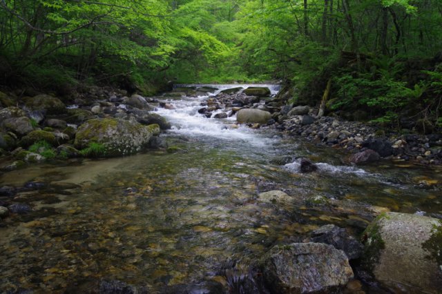 IMGP5162_R