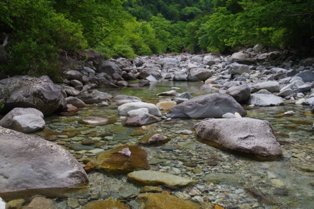 IMGP5380_R