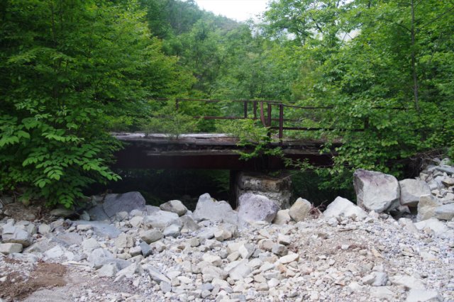 IMGP5439_R