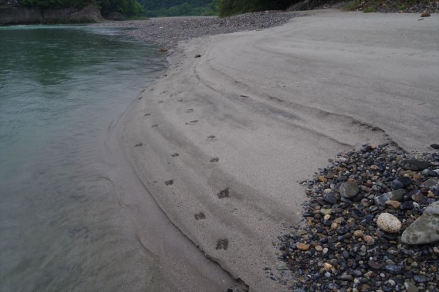 IMGP5522_R