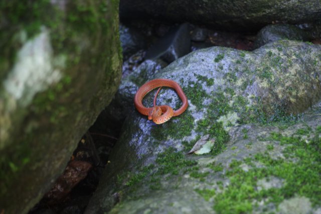 IMGP5784_R