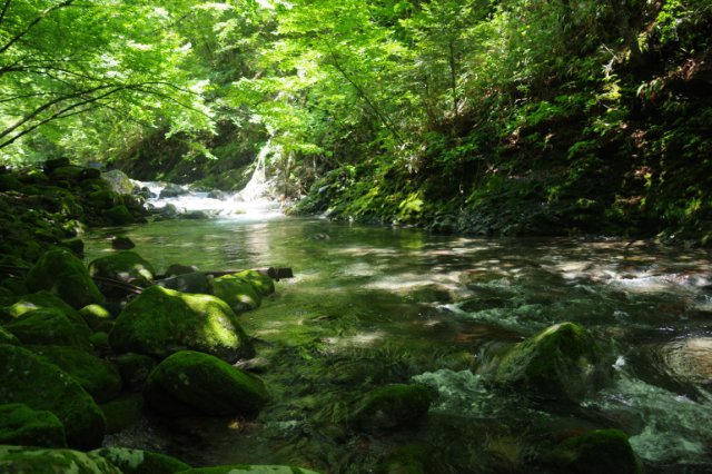 IMGP5834_R