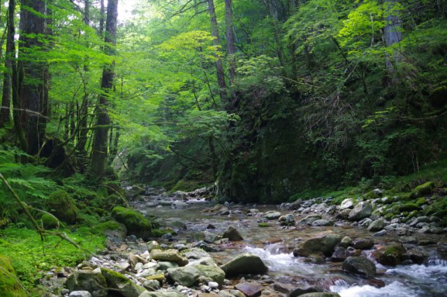 IMGP5908_R