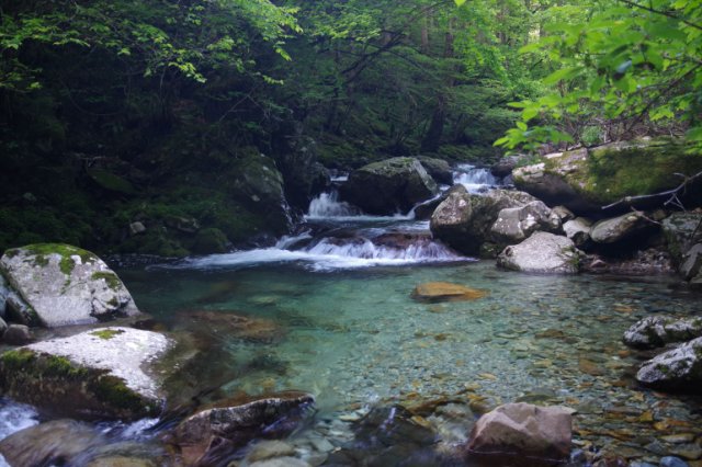 IMGP5993_R