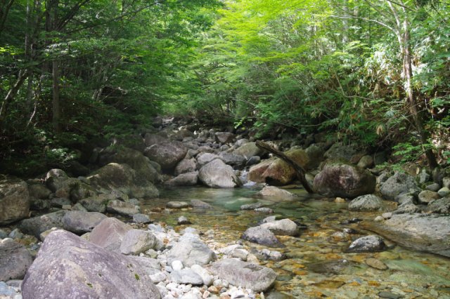 IMGP6143_R