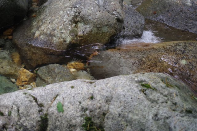 IMGP6155_R