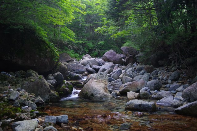 IMGP6163_R