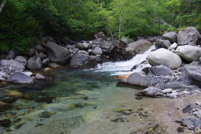 IMGP6331_R
