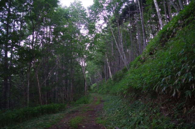 IMGP6429_R