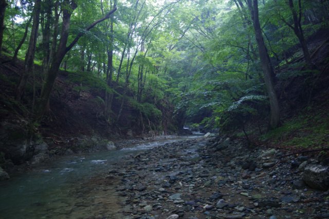 IMGP6474_R
