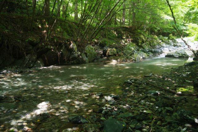 IMGP6477_R