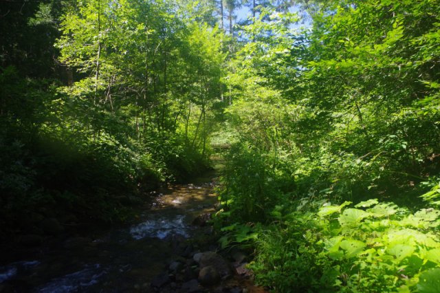 IMGP6569_R
