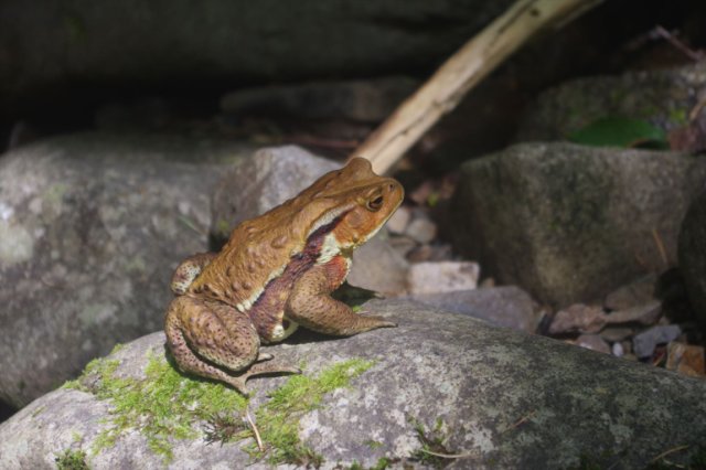 IMGP6602_R