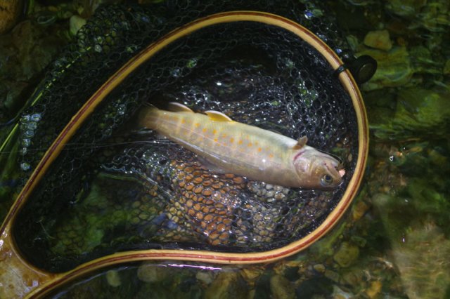 IMGP6794_R