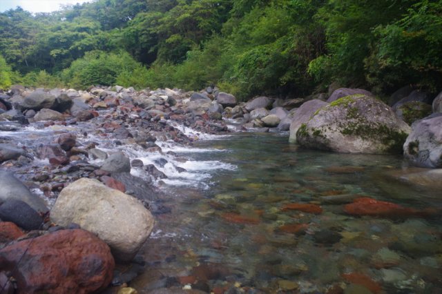 IMGP6995_R