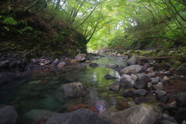 IMGP7090_R
