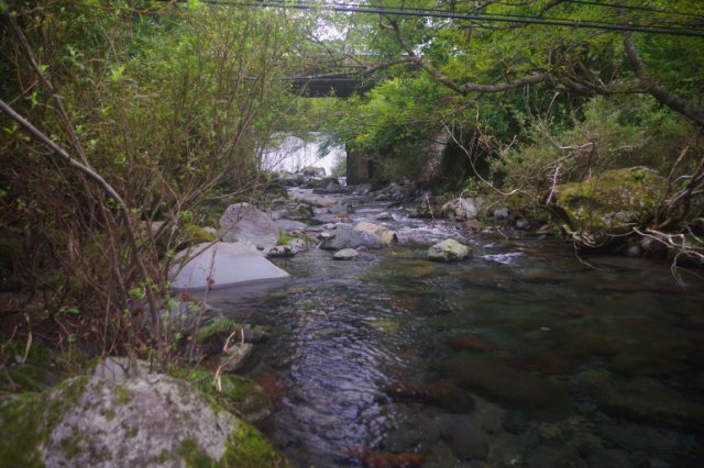 IMGP7131_R