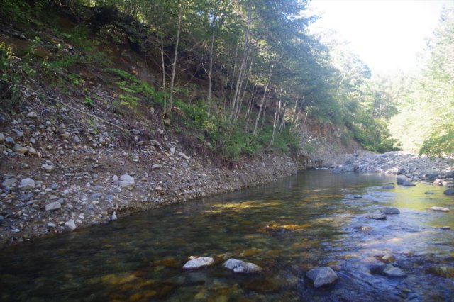 IMGP7198_R