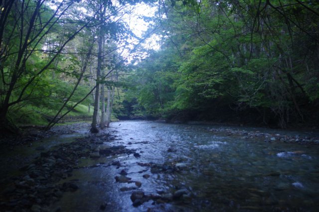 IMGP7233_R