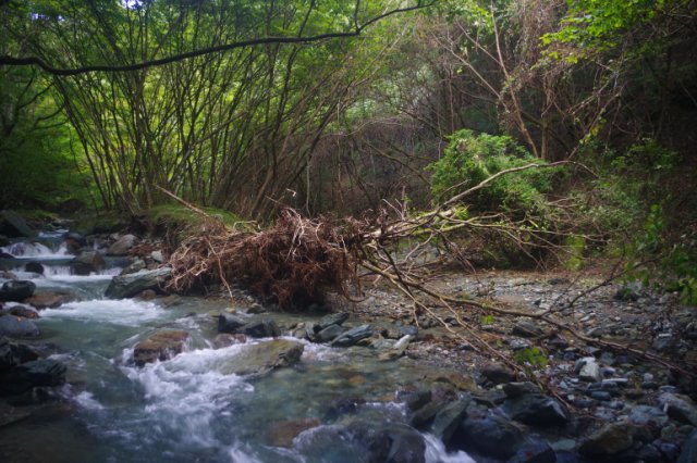 IMGP7244_R