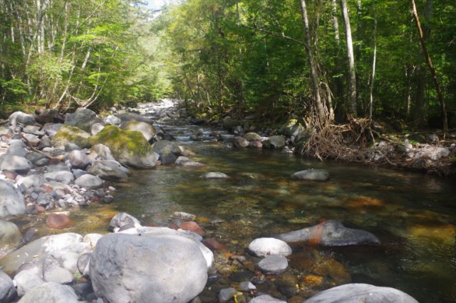 IMGP7328_R