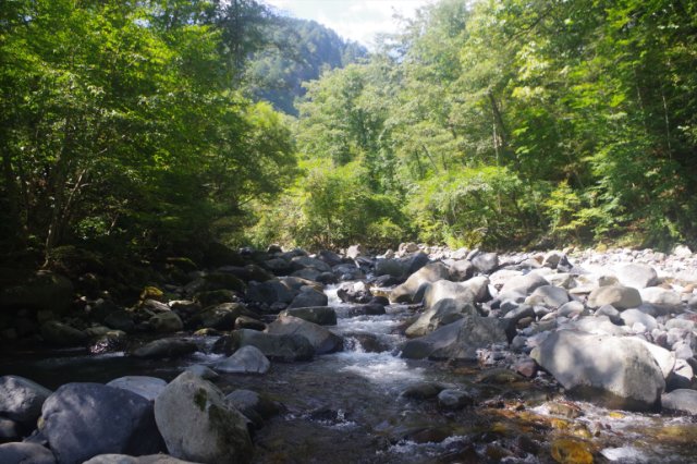 IMGP7392_R