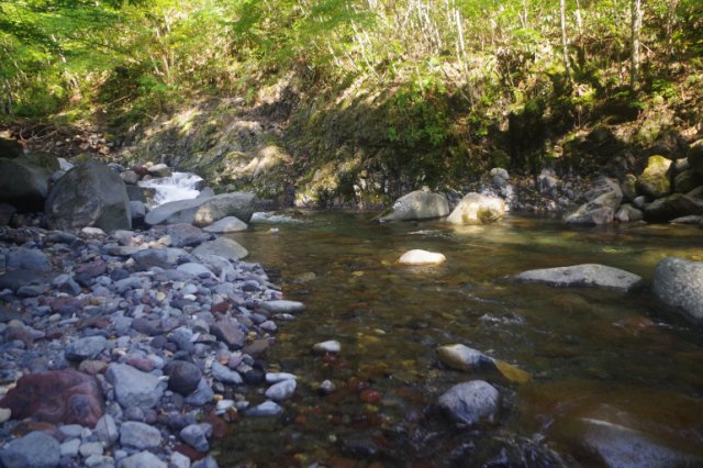 IMGP7430_R