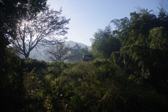 IMGP7452_R