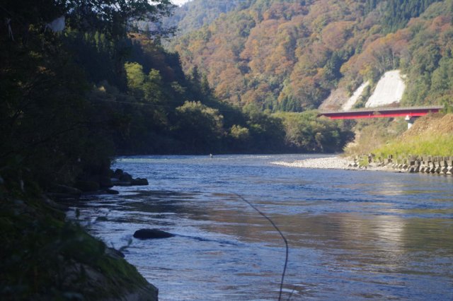 IMGP7604_R
